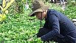 Huyện Gò Công Đông: 2 thanh niên tình nguyện lên đường nhập ngũ