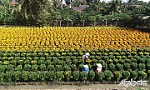 Tiền Giang triển khai xây dựng nông thôn mới ngay từ đầu năm