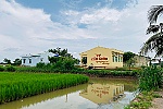 ĐBSCL chuyển hướng: Khi nông dân trúng lớn nhờ... hạn mặn