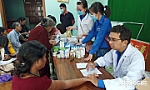 Lương y Lê Vương Quốc Hùng: Bền lòng cùng cây thuốc