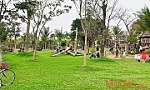 Nỗ lực hỗ trợ phục hồi ngành du lịch trong đại dịch
