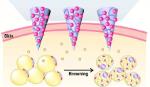 Miếng dán microneedle cung cấp thuốc chống béo phì
