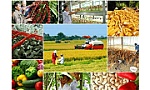 Bảo đảm đủ lương thực, thực phẩm trong mọi tình huống
