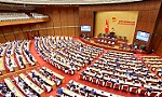 'Thành công của Chính phủ rất nhiều, nhưng có một thành công kỳ tích'