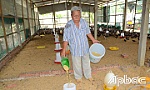 Giá thức ăn liên tục tăng, người chăn nuôi  gặp khó