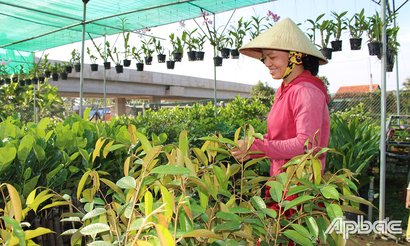 Nhân dân huyện Cái Bè chăm lo phát triển kinh tế, góp phần đưa Nghị quyết Đại hội XII Đảng bộ huyện vào cuộc sống. 