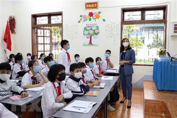 Ảnh minh họa. (Ảnh: Hữu Quyết/TTXVN)