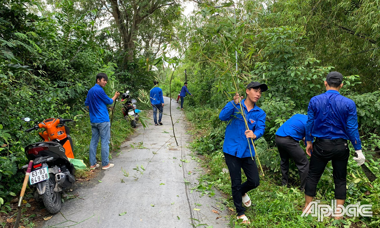 Tuổi trẻ xã Tân Hương phát quang dọn dẹp tuyến đường liên ấp Tân Thạnh và Tân Thuận.                       Ảnh: Thành Đô