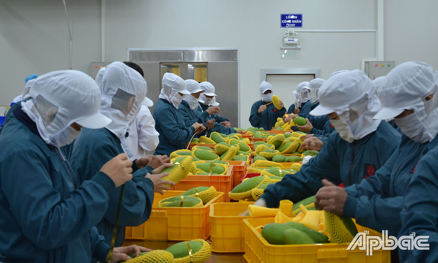 Tiền Giang có lợi thế rất lớn về cây ăn trái. 
