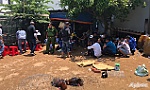 Triệt phá trường gà, tạm giữ 26 đối tượng