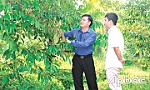 Chuyện về nông dân vượt khó làm giàu