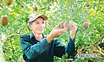 Xây dựng quê hương ở một xã anh hùng