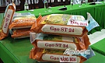 Huyện Cái Bè: Đánh giá, xếp hạng sản phẩm OCOP