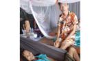 Một gia đình hai nỗi đau