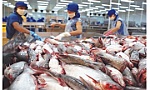 Sữa, thịt, thủy sản... sang EU sẽ khắt khe hơn
