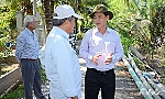 Kiểm tra tiến độ tháo dỡ các đập thép ngăn mặn, trữ ngọt