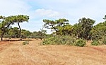 Xung quanh việc phê duyệt chủ trương đầu tư Dự án sân golf Đak Đoa, Gia Lai