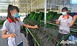 Bài cuối: Chú trọng đào tạo, đào tạo lại