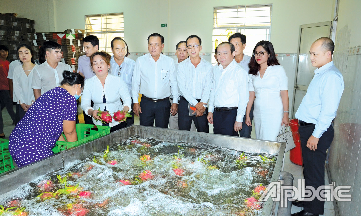 Lãnh đạo Liên minh HTX Việt Nam và tỉnh Tiền Giang tham quan quy trình sản xuất tại HTX Mỹ Tịnh An. Ảnh: MINH THÀNH