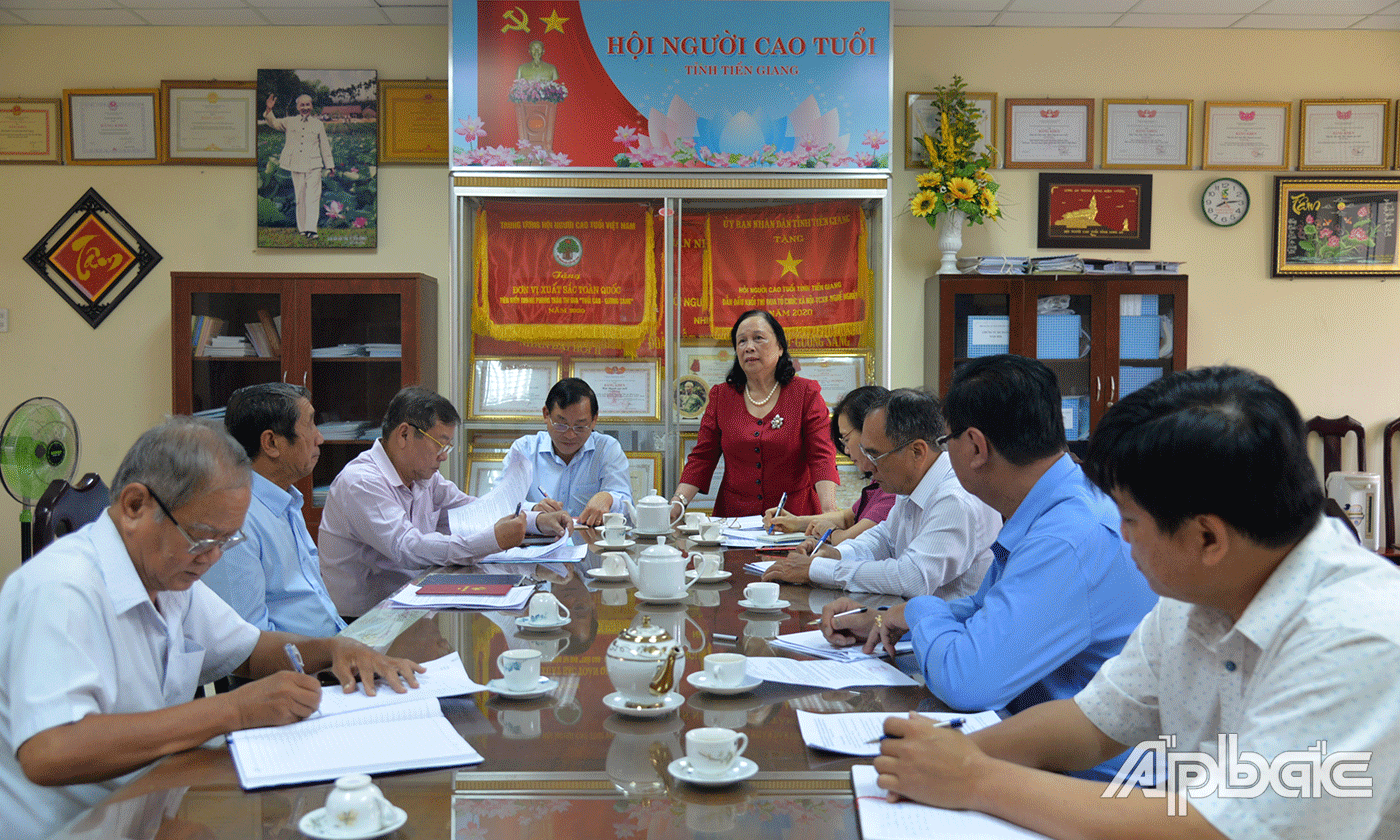 Chủ tịch Trung ương Hội Người cao tuổi Việt Nam Phạm Thị Hải Chuyền phát biểu tại buổi làm việc với Hội NCT tỉnh Tiền Giang.