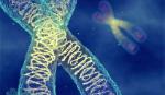 Covid-19: Xác định được gene người chống lây nhiễm virus