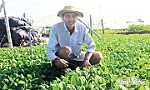 Chuyện vượt khó, làm giàu của 2 nông dân