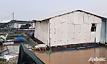 Sà lan tông chìm 2 bè cá trên sông Tiền