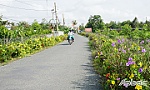 Sức sống mới ở Thanh Hòa