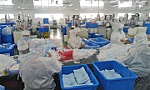 Doanh nghiệp xoay xở vượt khó