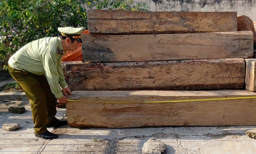 Số gỗ bị tạm giữ.