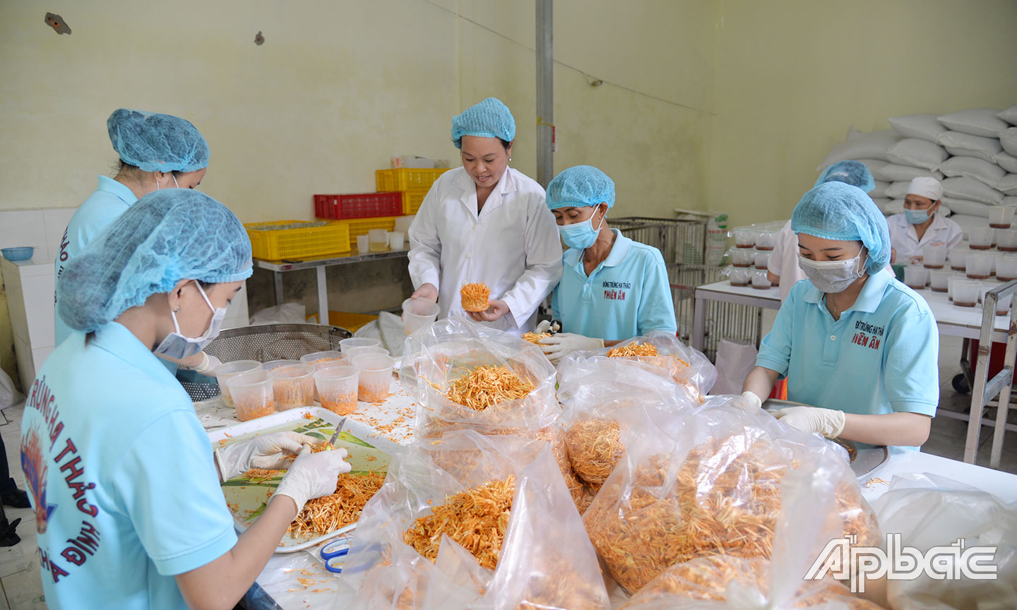 Sản xuất các sản phẩm ĐTHT tại Công ty TNHH ĐTHT Thiên Ân. 