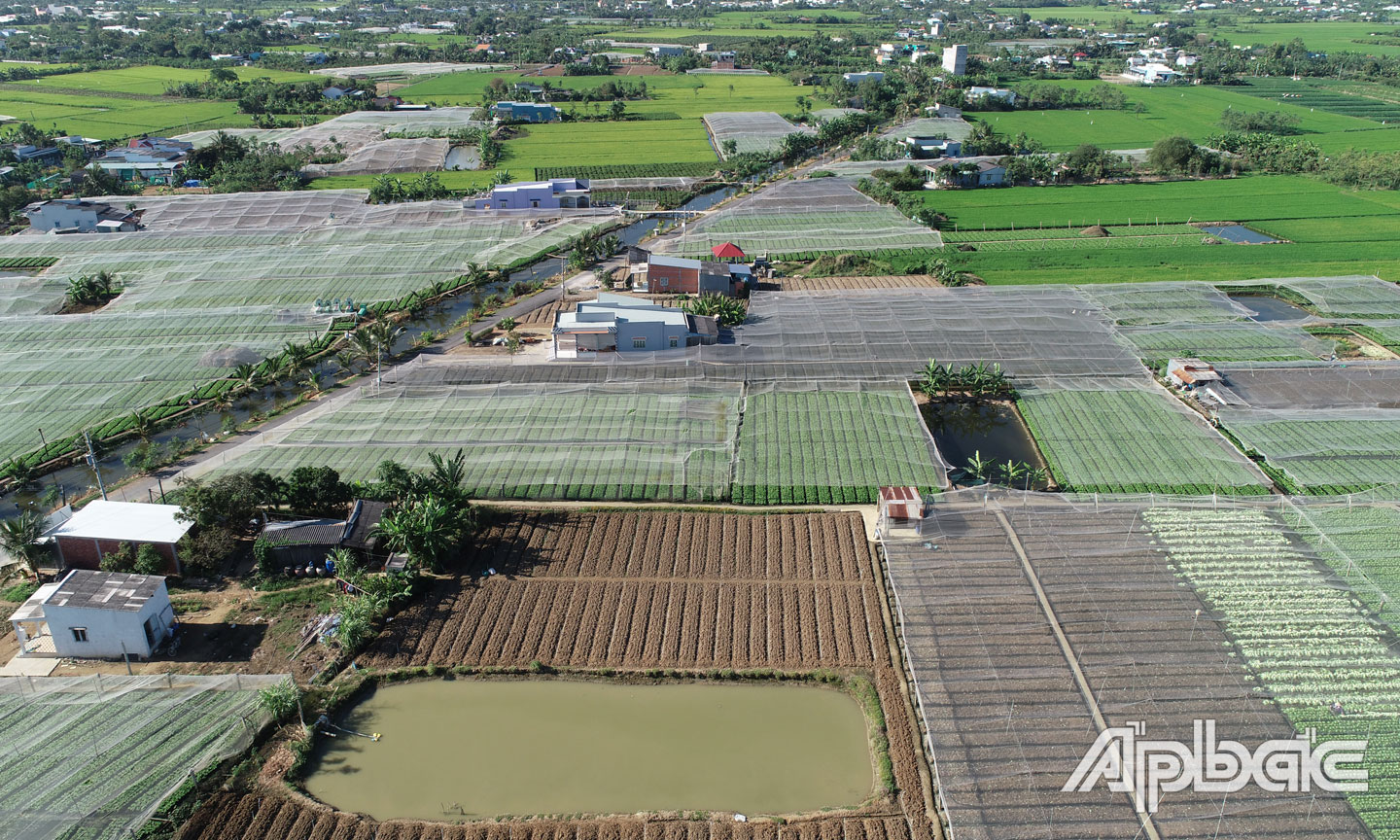 Xây dựng NTM gắn với tái cơ cấu ngành Nông nghiệp, góp phần nâng cao đời sống người dân (ảnh chụp tại xã Tân Đông, huyện Gò Công Đông). 