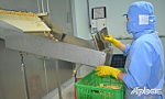 Nỗ lực đưa công nghệ vào chế biến trái cây