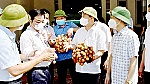 Thương mại điện tử vào cuộc tiêu thụ nông sản