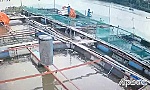 Đi chài cá, một người bị điện giật tử vong