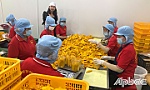 Giải 