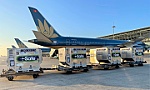 Gần 1 triệu liều vắc xin đã đến Thành phố Hồ Chí Minh