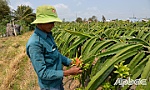 Tạo bước chuyển cho nông nghiệp