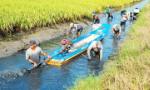 Bài toán di cư ở vùng châu thổ Cửu Long