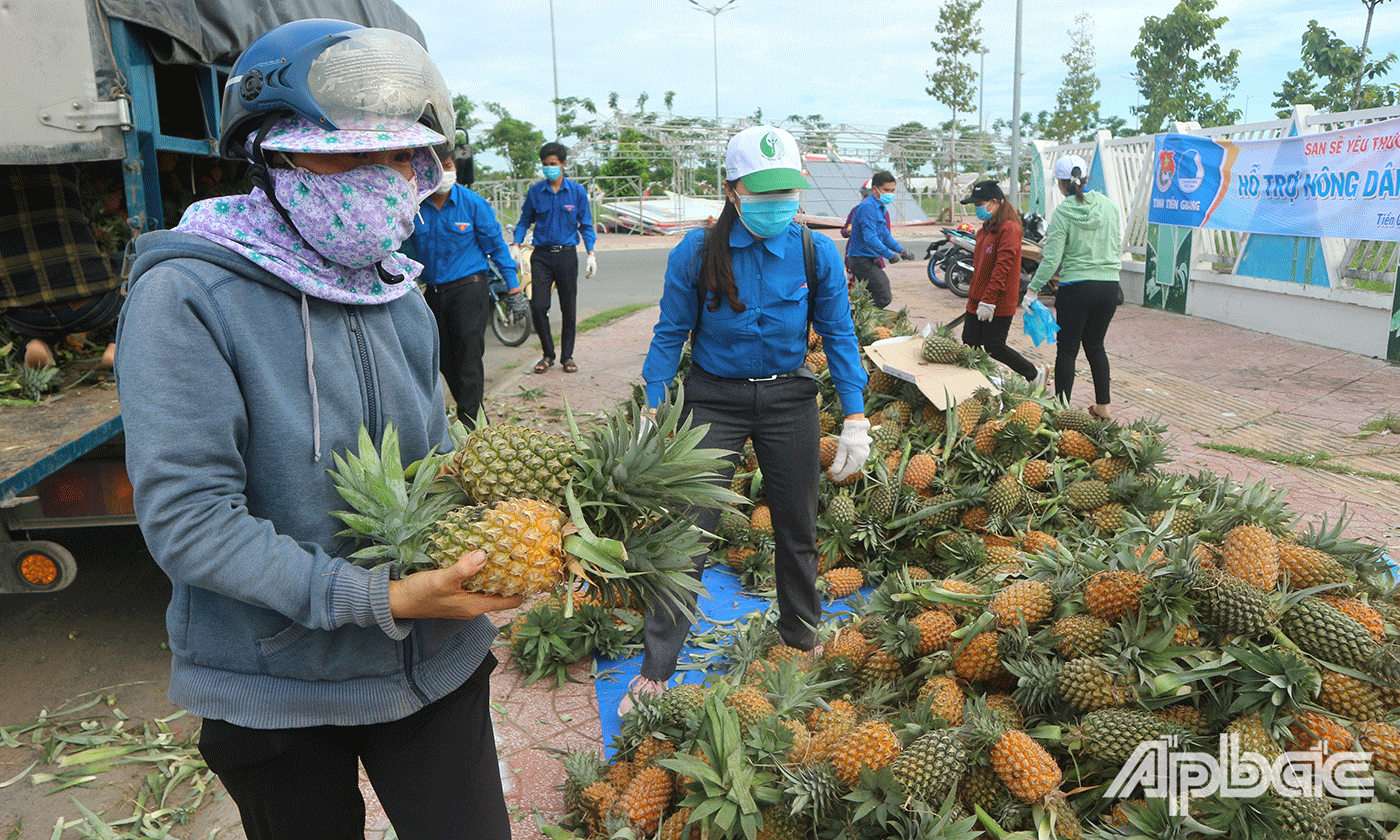 Chương trình hỗ trợ nông dân tiêu thụ nông sản của Tỉnh đoàn Tiền Giang, Hội Lien hiệp Thanh niên Việt Nam