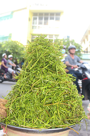 Rau choại - đặc sản của vùng đất Đồng Tháp Mười.