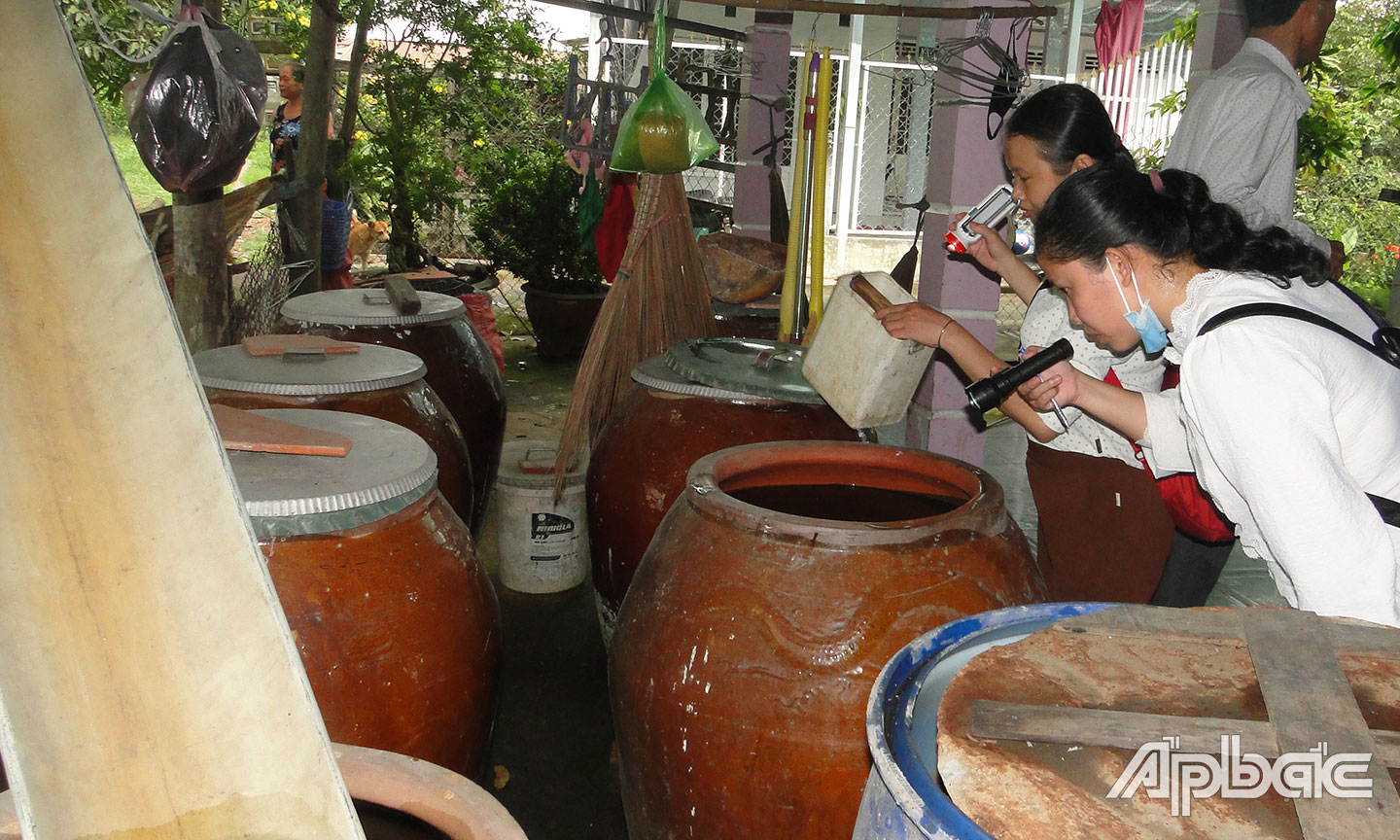 CDC Tiền Giang giám sát kết quả thực hiện Chiến dịch diệt muỗi, diệt lăng quăng. 