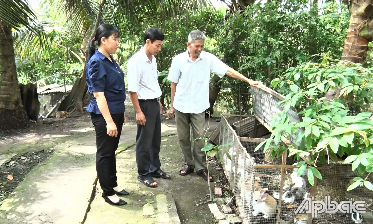 Mô hình chăn nuôi thỏ của ông Trương Ngọc Rở ở ấp Tân Hòa, xã Tân Hội (ảnh chụp trước khi  dịch bùng phát).                                                                                                                                                      Ảnh: CẨM MAI