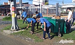 Tiền Giang: Thiết thực các hoạt động Đoàn