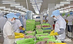 Tiền Giang: Xuất khẩu khả quan