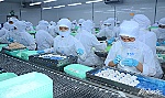 Một số doanh nghiệp trong các khu, cụm công nghiệp tạm dừng hoạt động để phòng, chống dịch Covid-19