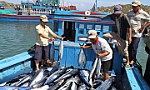 Thủy sản quyết tâm gỡ 