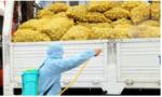 Lập tổ công tác chỉ đạo sản xuất nông sản - thực phẩm tại miền Nam