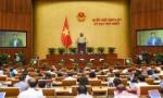 Hôm nay, Quốc hội trình danh sách đề cử bầu Chủ tịch nước