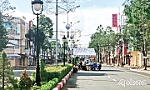 Khẩn trương tầm soát Covid-19 trong cộng đồng